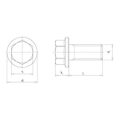 DIN 6921 M06x055 A2
